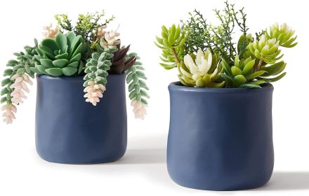 Artificial Succulent in Ceramic Pots, 2 Packs Large Faux Fake Plants Navy Blue for Desk,Office, Bedroom, Living Room, Bathroom Office Shelf Home