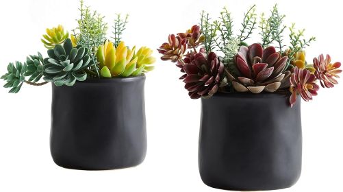Artificial Succulents in Ceramic Pots 2 Pcs Large Fake Plants Matte Black Decor, for Desk, Bedroom, Living Room, Bathroom, Office, Bookshelf